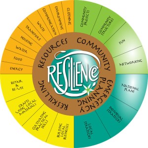 the resilience wheel