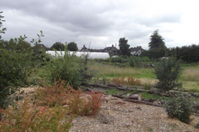 feed bristol harvest fair