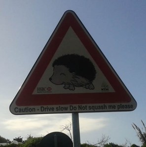 Hedgehog sign