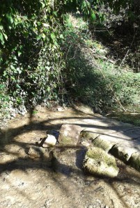 Buskett Forest Gardens, Malta 2016