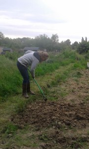 Linda hoeing our new growing space