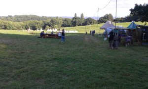 Green Gathering 2016 vista from crafts area