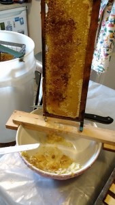 Extracting honey from a fresh comb