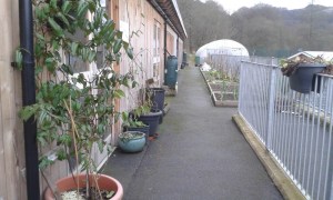 The Incredible Aquagarden from the outside