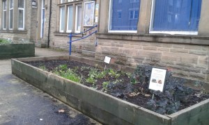the iconic police station vegetable beds, Todmorden