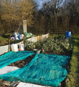 The Resilience Allotment