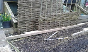 Learn to make willow fencing!