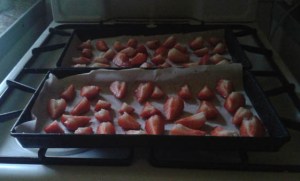 dehydrating strawberries 2017 
