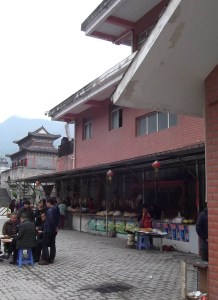 Food market at White Emperor City, there were many varieties of edible fungi on sale, as described in 'Recipes for Resilience'
