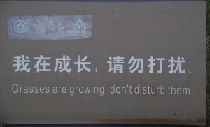 Chinese translation of Keep off the Grass