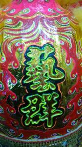 Detail from Lion costume