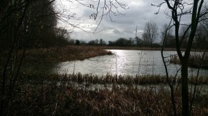 towntree lake vista feb18