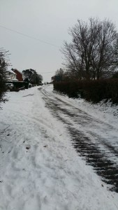 The tractor cleared our lane quite early on Friday