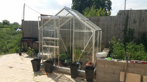 Greenhouse and field may18