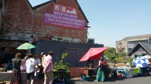 Seedling Sunday RBB May18