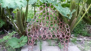 Towntree chair and giant dead flowers february