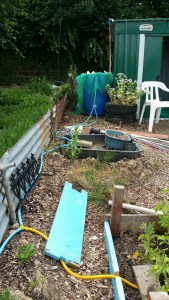 allotment irrigation