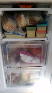  Freezer stores for Zombie Apocalypse, day 22