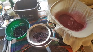 crushing grapes sieve and strain for juice