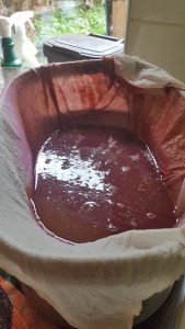 moving clogged muslin around the sieve to make grape juice