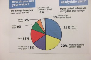 pie chart of domestic water use